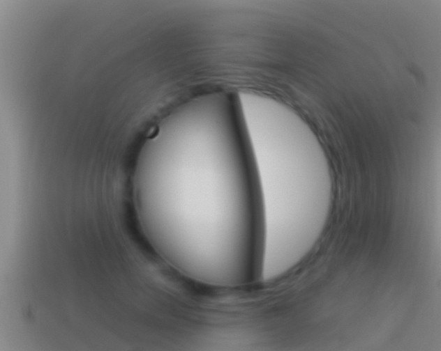 X0000114620750200910201001