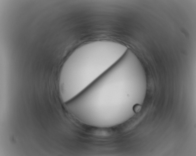 X0000114620751200910201001