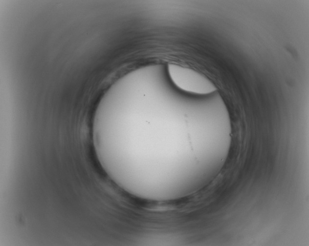 X0000114620754200910201001
