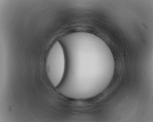 X0000114620755200910201001