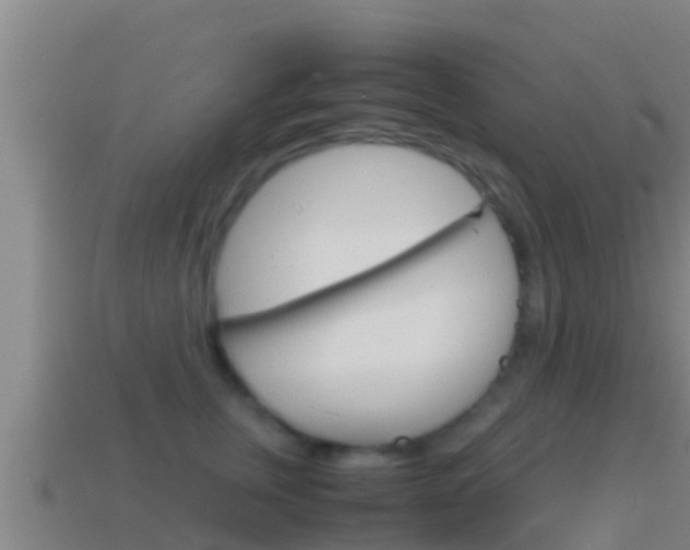 X0000114620759200910201001