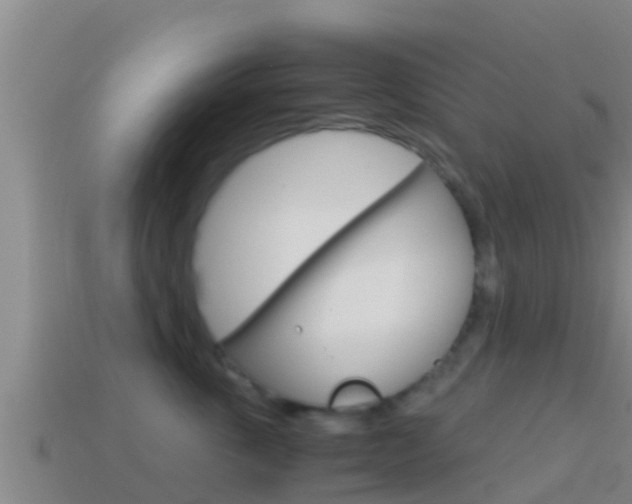 X0000114620763200910201001