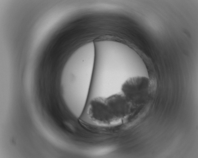 X0000114620765200910201001