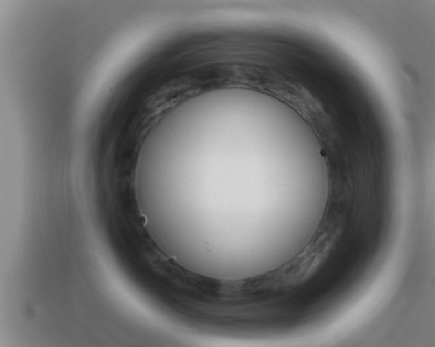 X0000114620766200910201001