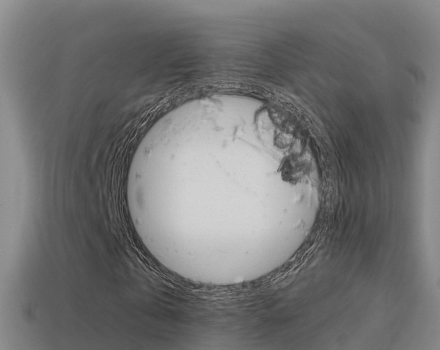 X0000114620769200910201001