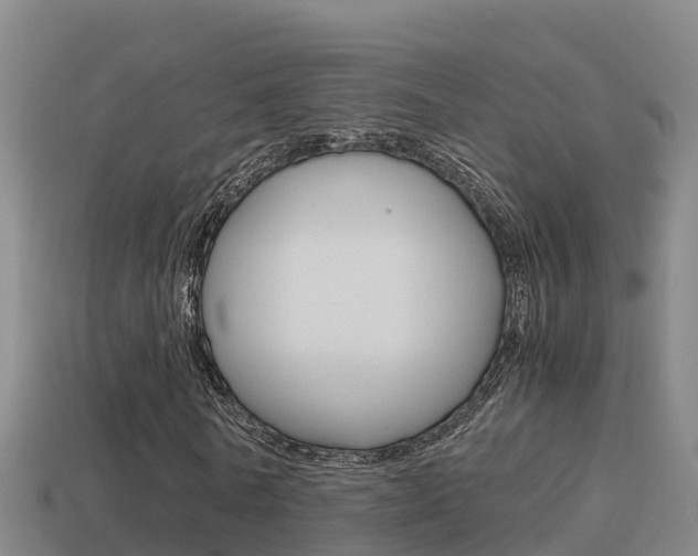 X0000114620770200910201001