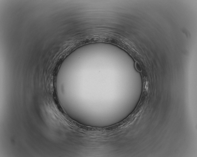 X0000114620771200910201001