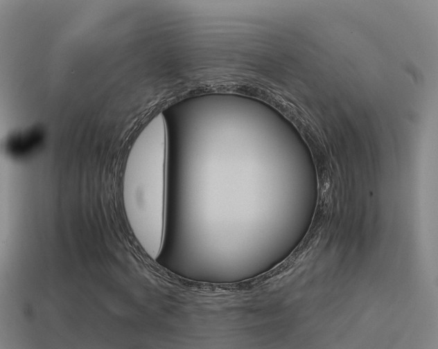 X0000114620772200910201001