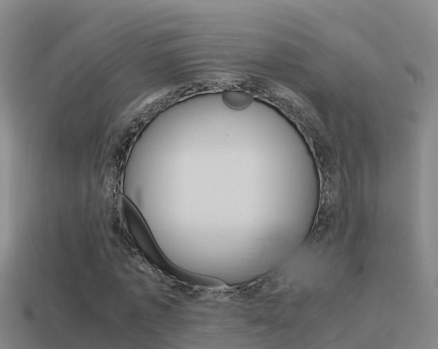 X0000114620773200910201001
