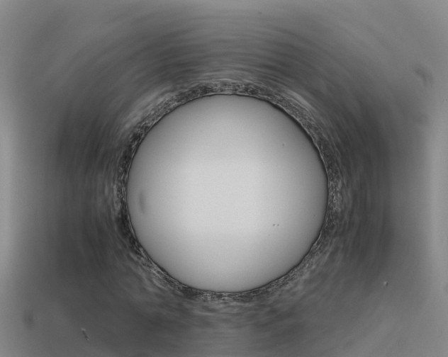 X0000114620774200910201001