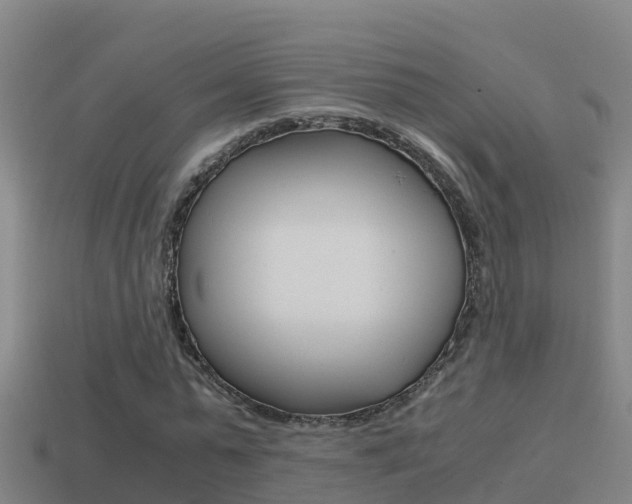 X0000114620775200910201001