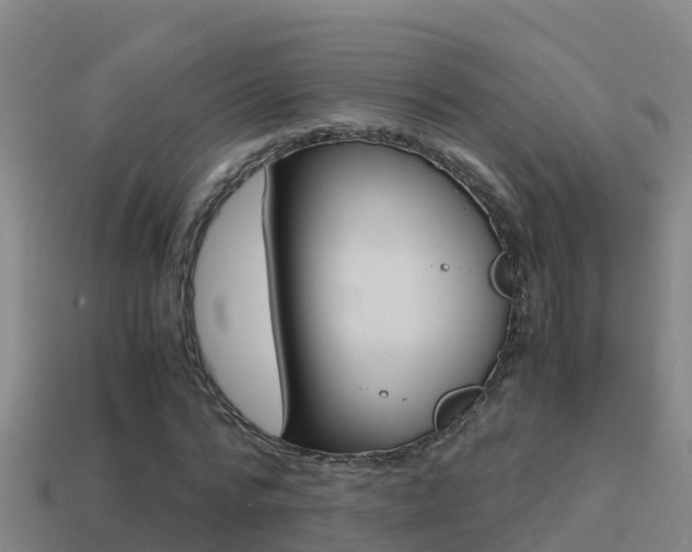 X0000114620776200910201001
