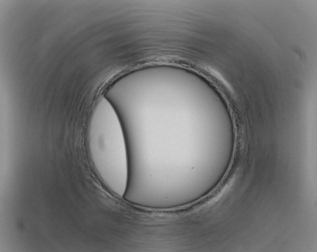 X0000114620777200910201001