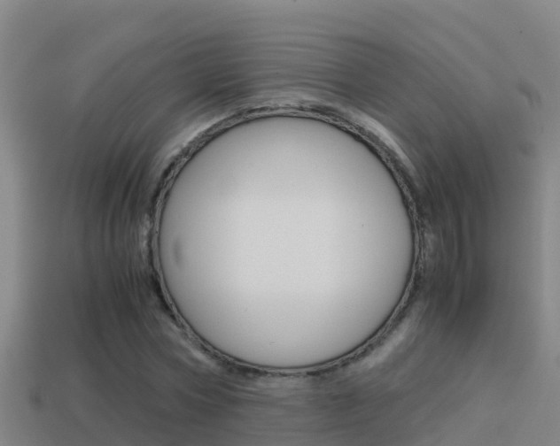 X0000114620778200910201001