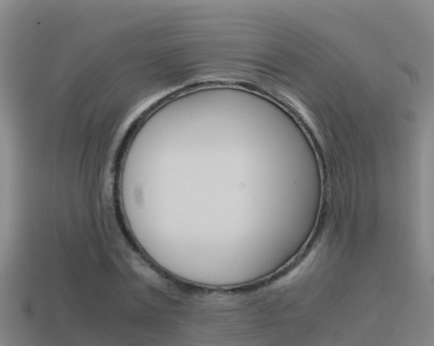 X0000114620779200910201001