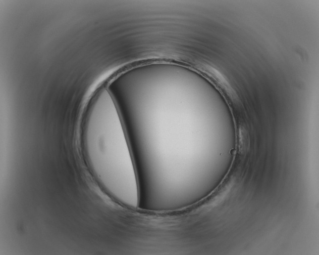 X0000114620780200910201001
