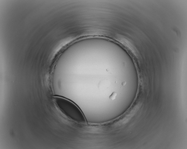 X0000114620781200910201001