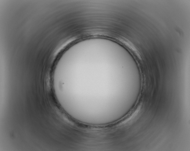 X0000114620782200910201001