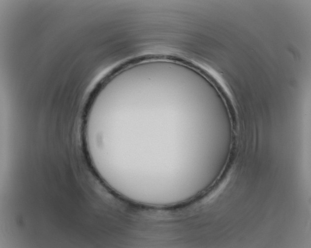 X0000114620783200910201001