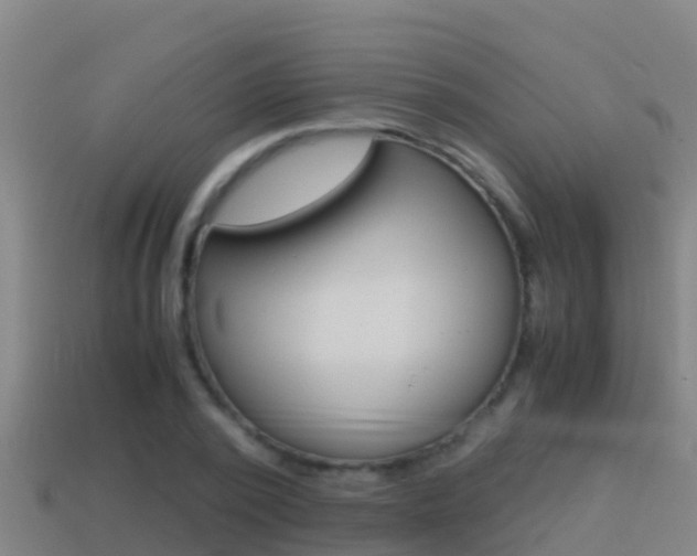 X0000114620784200910201001