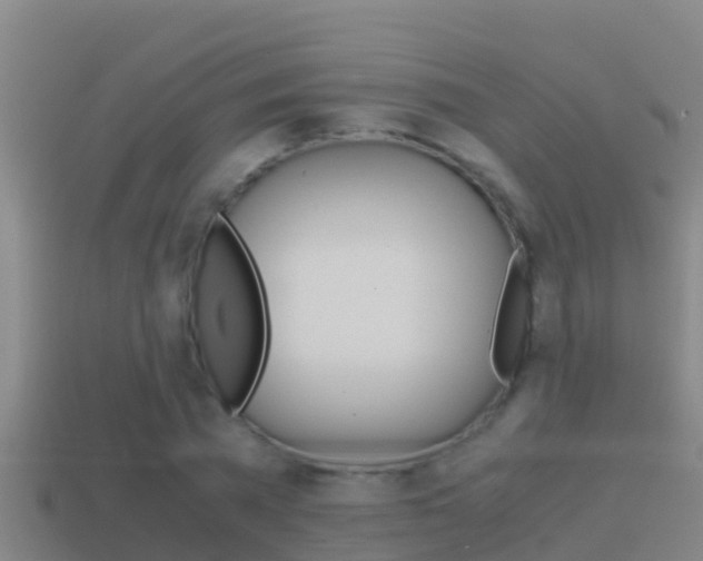X0000114620785200910201001