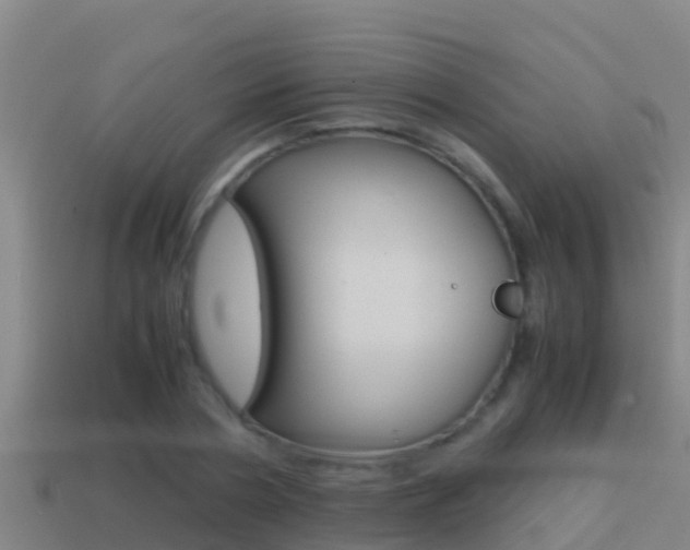 X0000114620786200910201001