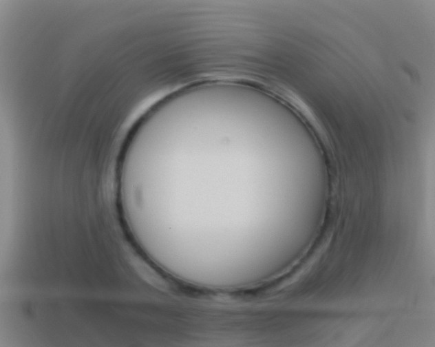 X0000114620787200910201001