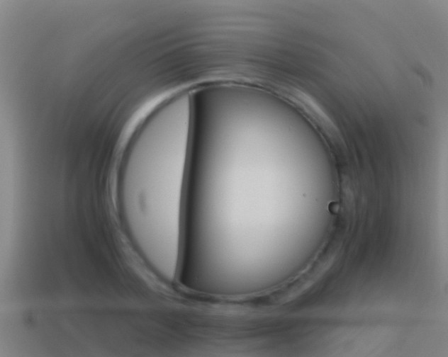 X0000114620788200910201001