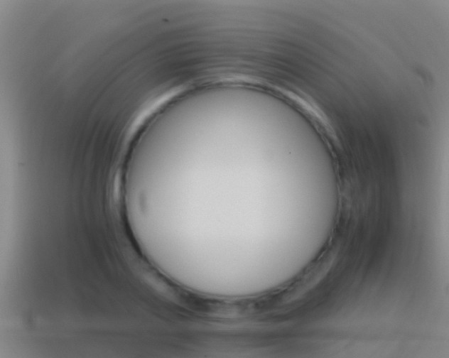 X0000114620790200910201000