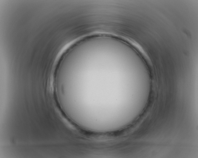 X0000114620791200910201000