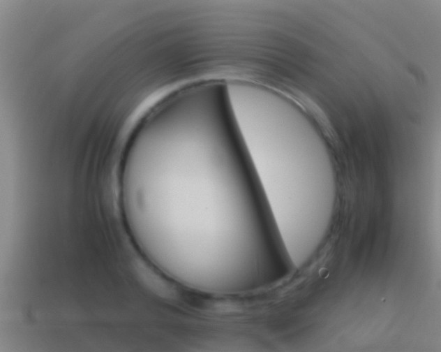 X0000114620792200910201000