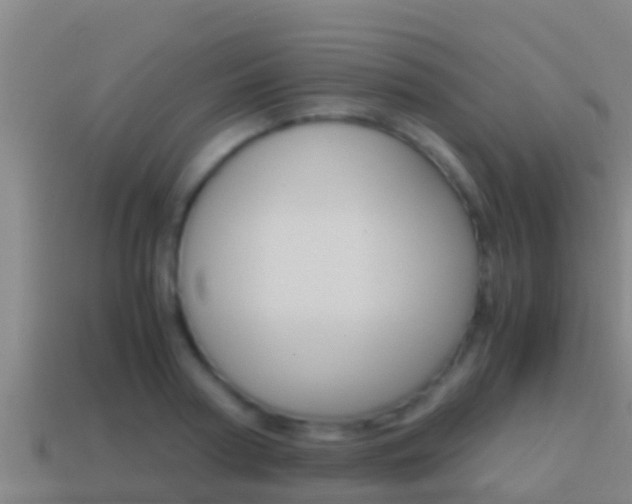 X0000114620794200910201000