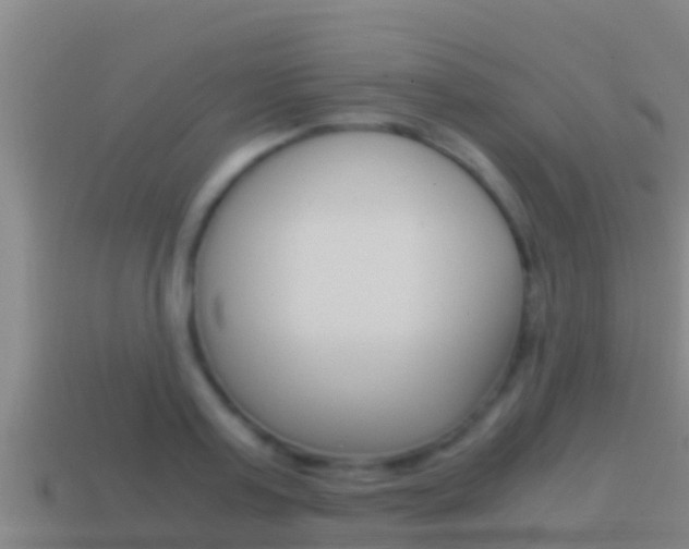 X0000114620795200910201000