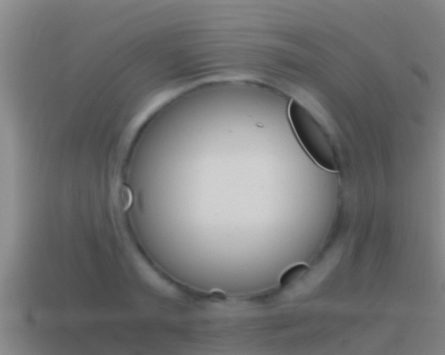 X0000114620797200910201000