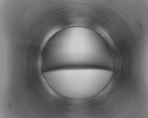 X0000114620804200910201000
