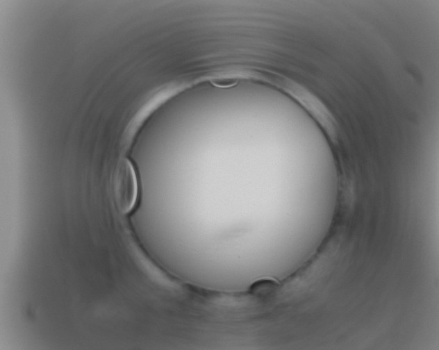 X0000114620805200910201000
