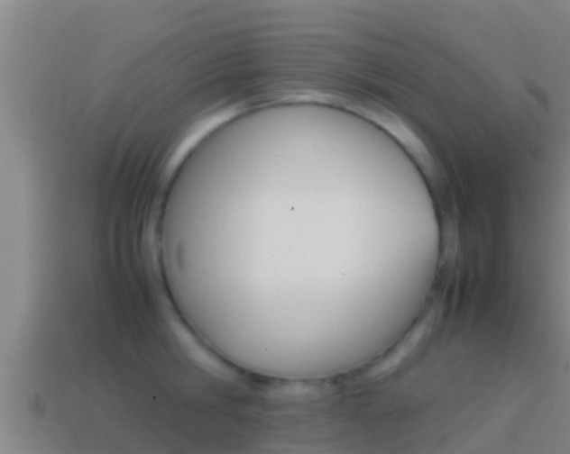 X0000114620806200910201000