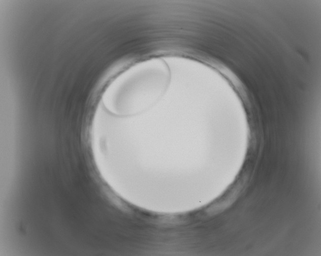 X0000114620807200910201000