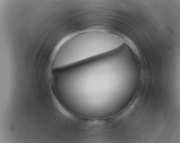 X0000114620808200910201000