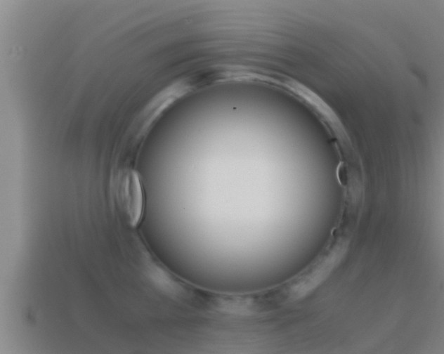 X0000114620809200910201000