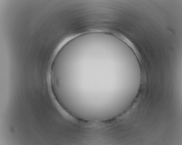 X0000114620811200910201000