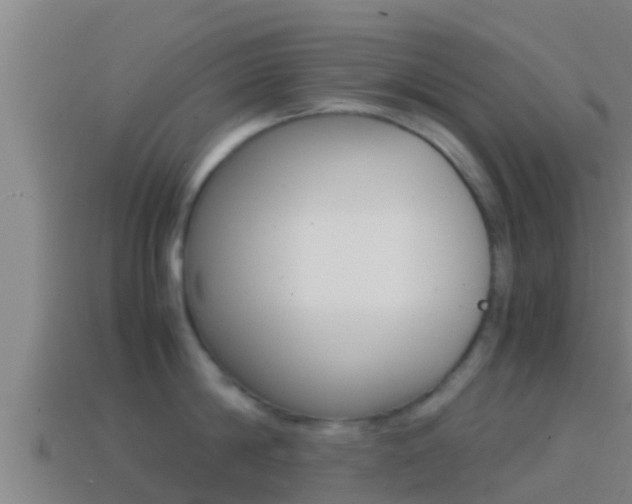 X0000114620814200910201000