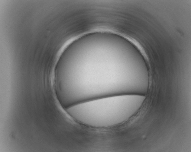 X0000114620815200910201000