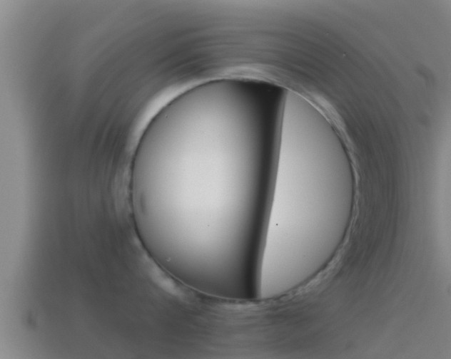 X0000114620816200910201000