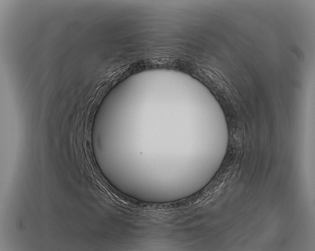 X0000114620817200910200959