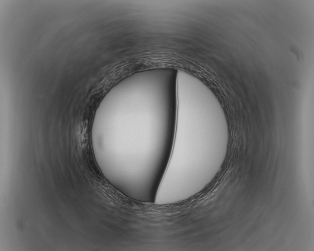 X0000114620818200910201000
