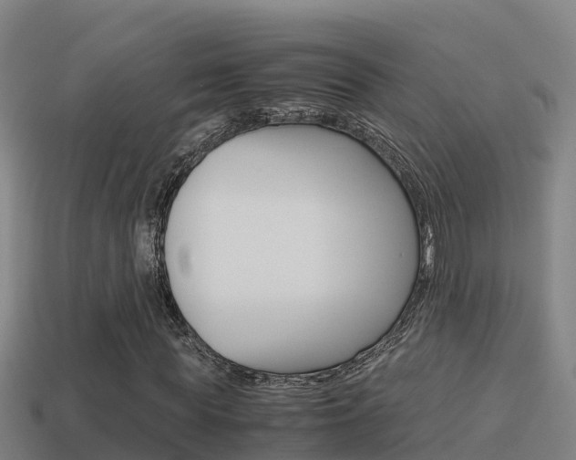 X0000114620819200910201000