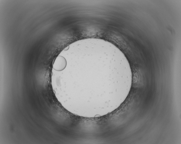 X0000114620820200910201000