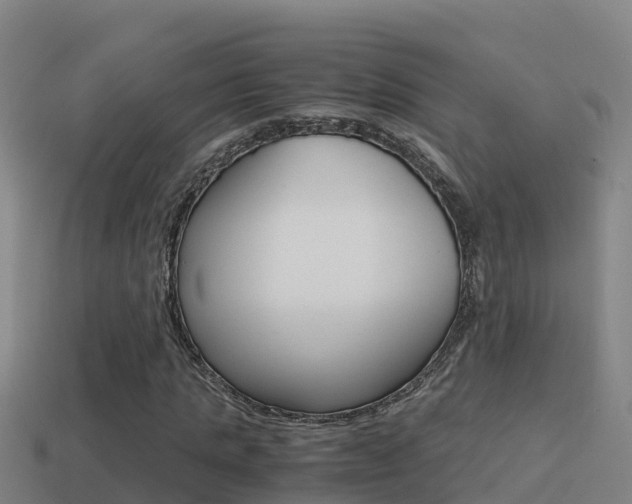 X0000114620821200910201000