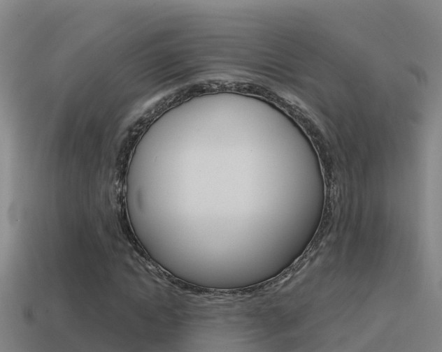 X0000114620822200910201000